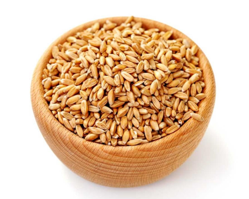 Samba Wheat