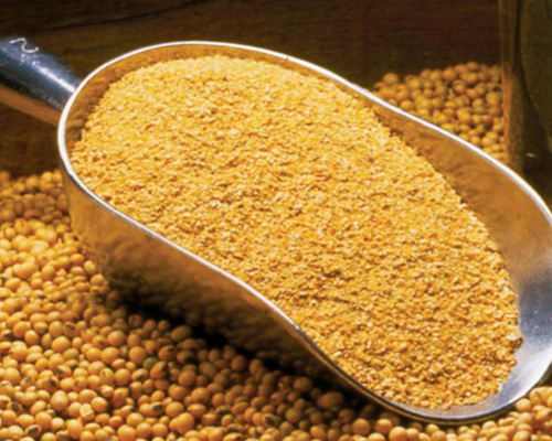 Soya DOC